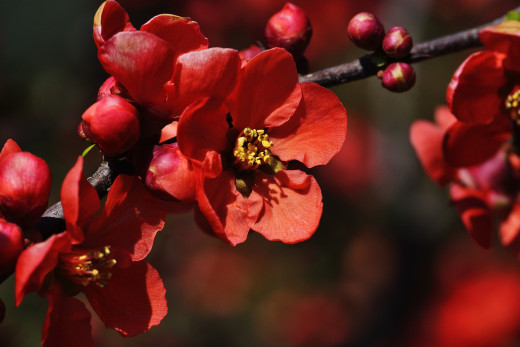 715333 (a): :2600x1735